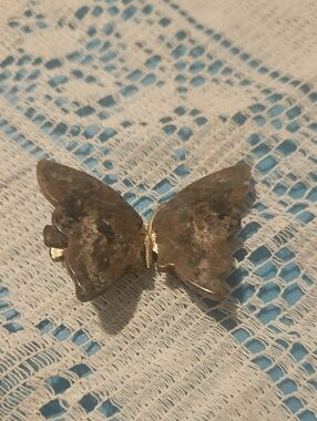 Butterfly Stone Clip with Silver-Tone Accents